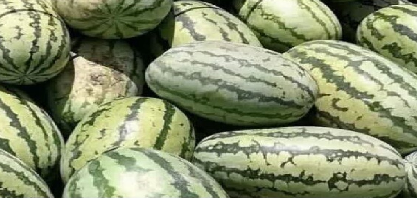 photo16460369177-e1738091171235