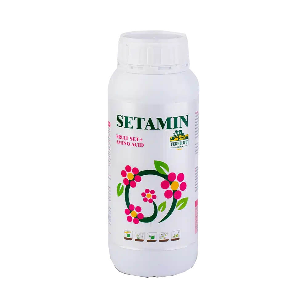 ستامین فرمولایف(فروت ست)