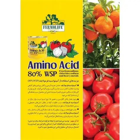 آمینواسید80%فرمولایف - تصویر 2